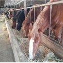 대안축산 이미지