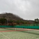 금촌체육공원 | 2025 파주테니스협회장배 테니스 대회 단체전 후기 폭설 본선 진출