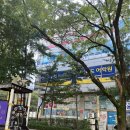 장평초 놀이터 이미지