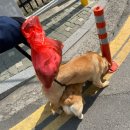 고침안마원 이미지