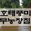 비안농장 네이버블로그