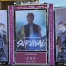호랭이 어슬렁길 | [24.01.13-14] SURVIVAL 콘서트 후기 1(13일)