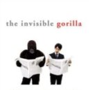 고릴라(Gorilla) 이미지