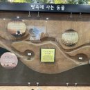산토끼매점