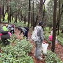 수림자원 이미지