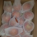 행구농장 이미지