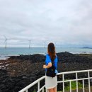 고산엉알 | 제주도 신창풍차해안도로 산책하기 좋은 한경면가볼만한곳