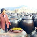 매화농업협동조합 이미지