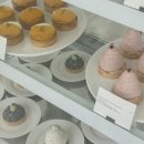 커스티(custty) 이미지