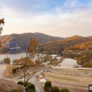 에듀팜특구관광단지(벨포레리조트) 이미지