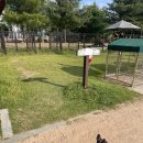 문암생태공원(반려견놀이터) 이미지