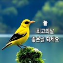 100세의료기 이미지