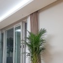 지엘리베리움 이미지