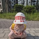 하나플랜 이미지