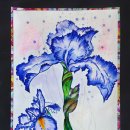 감성의 붓터치+ 수채화 이미지