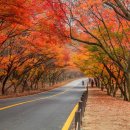 팀 행정사 사무소 이미지