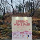 힐 스프링 | [와인행사] 2025 워커힐 구름위의산책 스프링 와인페어 후기 꿀팁