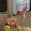 꼬모플레리 이미지