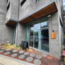도연제 | 죽동카페 도연제 갔다가 카이스트 오리연못 거위 가족 구경하기