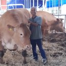 축협슈퍼 연합뉴스