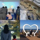 해양수산 과학원 ~ 어성교 | 부산 기장 아이와 실내 가볼만한곳 국립수산과학원수산과학관