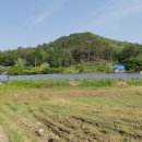 장항 태양광발전소 이미지