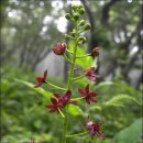 바우길 1구간 이미지