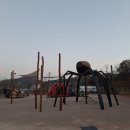 대율저수지 오토캠핑장 이미지