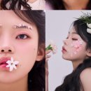 이아네 이미지