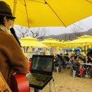 금곡마을 Daum카페