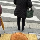 맑은성모피부과의원 이미지