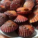 햇빛반찬 이미지