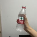 호동야채