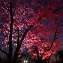 보문호반길 이미지