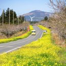 표선면-8 이미지