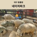 [대구동물원] 대구 아이랑 가볼만한 곳 네이처파크 할인 식당 먹이체험
