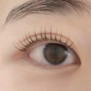 이마트24 의정부신도점 | 의정부 속눈썹 펌 잘하는 곳 블러쉬 뷰티 스튜디오 손상 없이 영양 가득