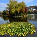 두류공원 이미지