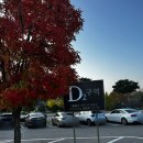 대소골프클럽 | cc 동코스(퍼블릭)-남코스(회원제) 가을 10월 라운딩 페어웨이, 식사, 캐디서비스, 클럽하우스, 교통