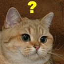 언남중학교 이미지