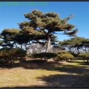 낭산면-1 이미지