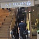 (주)안동터미널 | 추석 명절, 추석 명절 후기, 추억을 담은 추석 이야기~