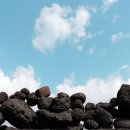 인토비스 주식회사 이미지