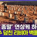 [엠빅뉴스] 전염병 생길까 신원 확인도 않고 땅에 묻어야 하는 참담한 상황... 입력 2023-09-19 이미지