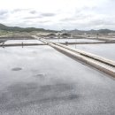 증도마트 이미지