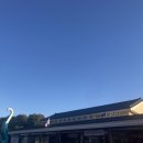 고성공룡나라휴게소주유소 대전방향 이미지