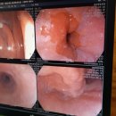 영광종합병원 이미지