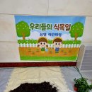 꿈별나무