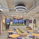 카페 주 | [시흥/능곡] 분위기 좋은 시흥능곡역 카페 추천 내돈내산 솔직후기 *카페 주비엘*