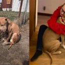 견생공감 이미지